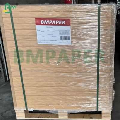 طقم ورق تغليف طعام مقاوم للشحم 40 جرام 5/7 أبيض مبيض مقاس 24x36 بوصة