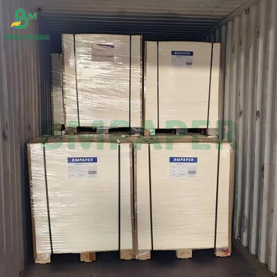 لوح كوستر غير مطلي ماص بسمك 600 ميكرومتر 700 ميكرومتر 800 ميكرومتر لصنع قواعد أكواب البيرة
