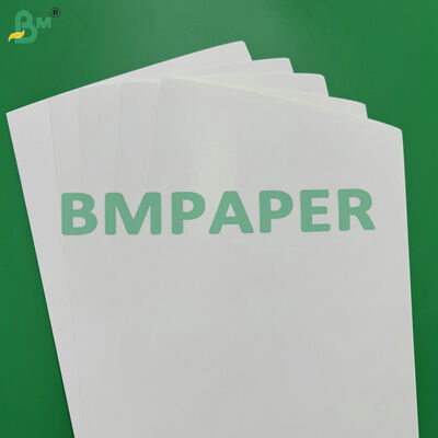 المقاومة للماء والدهون C1S 275gsm + 15g الورق المقوى PE للأغذية