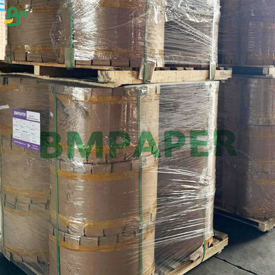 Anti - Insert And Bird Mango Grape Fruit Protection Bag Paper 55gsm