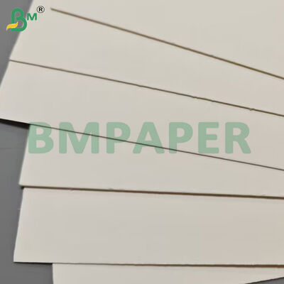 الصف الغذائي حاويات الغذاء ورق أوراق 190gsm + PE الطلاء