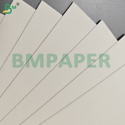 الصف الغذائي حاويات الغذاء ورق أوراق 190gsm + PE الطلاء