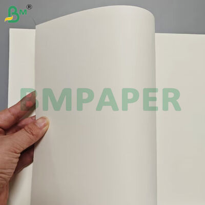 الصف الغذائي حاويات الغذاء ورق أوراق 190gsm + PE الطلاء